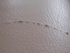 How to Fix Small Cat Scratches on Leather: A Step-by-Step Guide