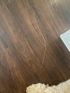 How to Fix Deep Scratches in Vinyl Plank Flooring: Expert Tips and Tricks