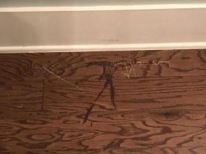 Understanding Scratch Resistance in Engineered Hardwood Flooring