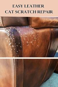 How to Repair Cat Claw Marks and Scratches on Leather