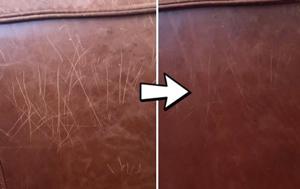 How to Remove Cat Scratches from Leather Sofas