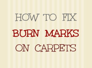 How to Repair a Burnt Area Rug: Step-by-Step Guide