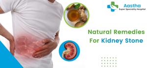 Natural Kidney Repair Strategies