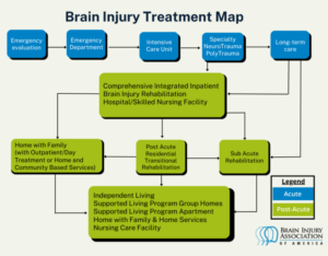 Understanding Brain Recovery After Injury