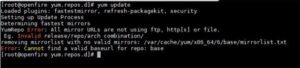 Resolving YUM Repository Base URL Issues