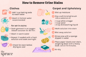 Removing Yellow Dog Urine Stains from Grass