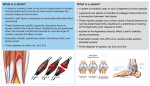 Accelerating Ligament Healing: Key Strategies