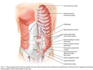 Understanding Hernia Mesh Surgery Recovery