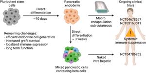 Rejuvenating Beta Cells: Mechanisms and Strategies