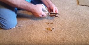 How to Restore Burnt Carpet: A Comprehensive Guide